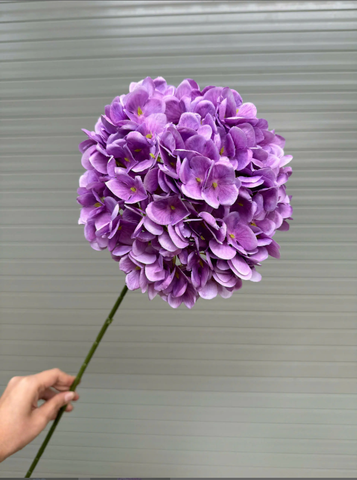 HOA TÚ CẦU 3D