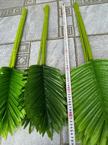 LÁ DỪA