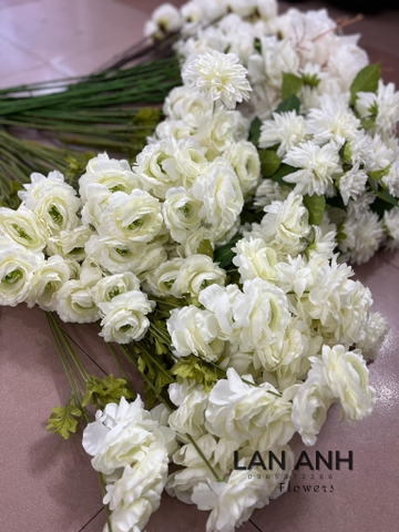 TONE TRẮNG