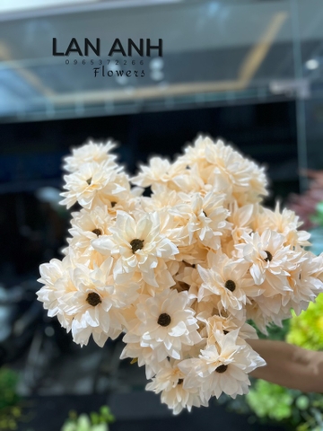 HOA DIÊN VỸ