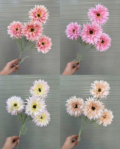 HOA ĐỒNG TIỀN 4B