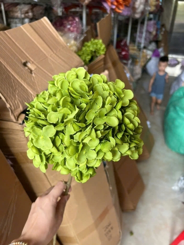 TÚ CẦU THÂN NÂU 1B
