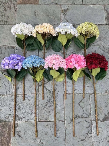 TÚ CẦU VIP ĐẠI