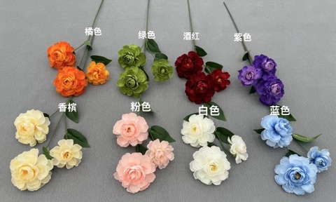 HẢI ĐƯỜNG 3B
