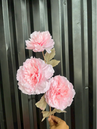 HOA MẪU ĐƠN 3B