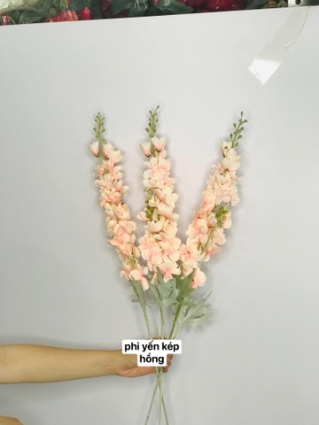 HOA PHI YẾN KÉP