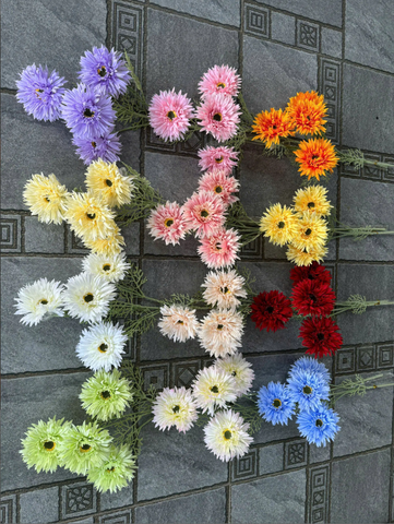 HOA ĐỒNG TIỀN 4B