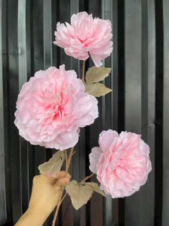 HOA MẪU ĐƠN 3B