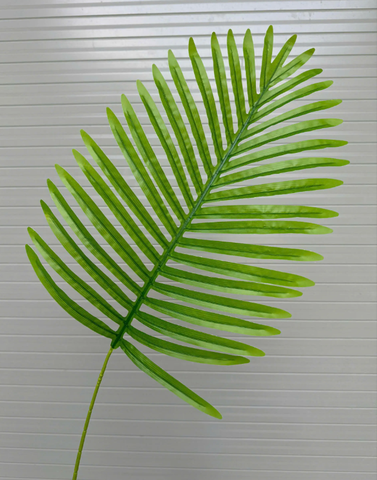 LÁ DỪA
