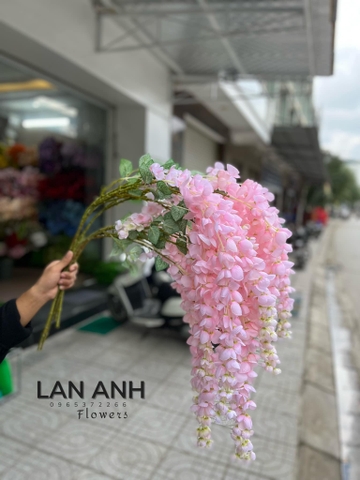 TONE HỒNG NHẠT