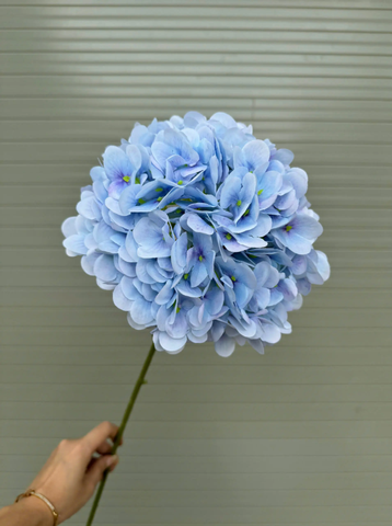 HOA TÚ CẦU 3D