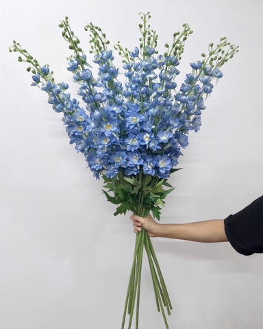 HOA PHI YẾN CAO CẤP VIP