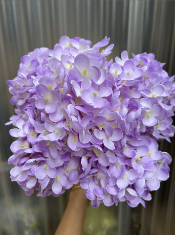 TÚ CẦU CỤM