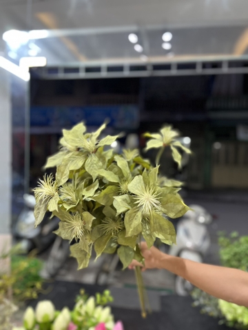 LÁ TRẠNG NGUYÊN