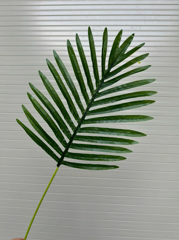 LÁ DỪA