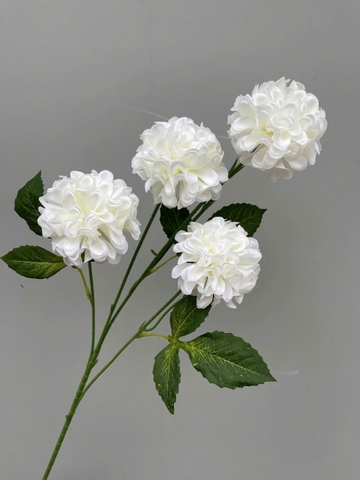 TỔ ONG 4B