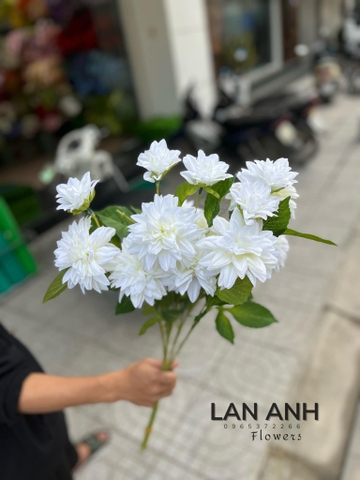 TONE TRẮNG