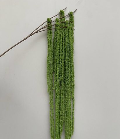 RỦ BÔNG
