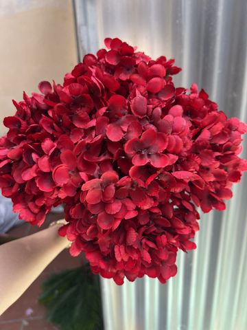 TÚ CẦU CỤM