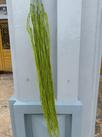 RỦ MƯỢT