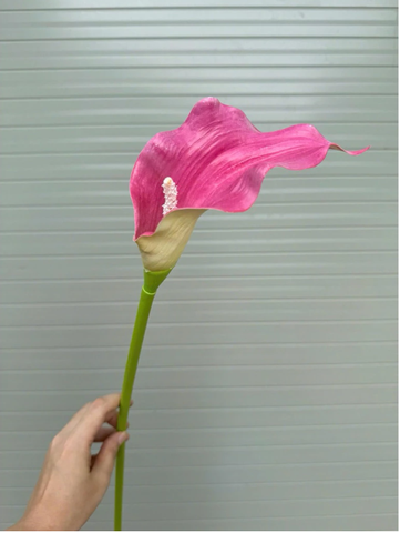 TONE HỒNG SEN