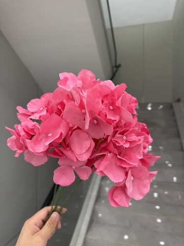 HOA TÚ CẦU 5B