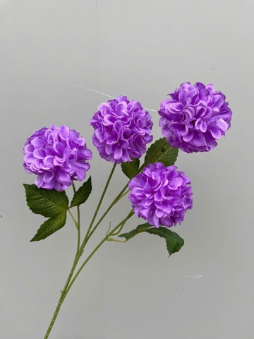 TỔ ONG 4B