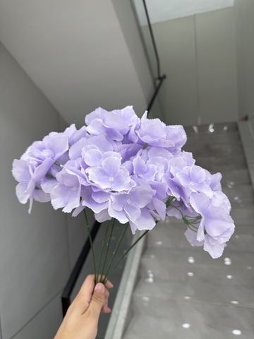 HOA TÚ CẦU 5B