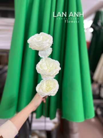 TONE TRẮNG