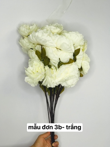 TONE TRẮNG