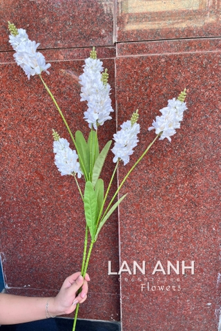 TONE TRẮNG