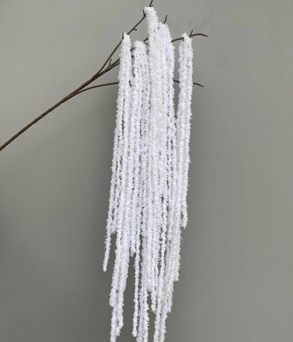 TONE TRẮNG