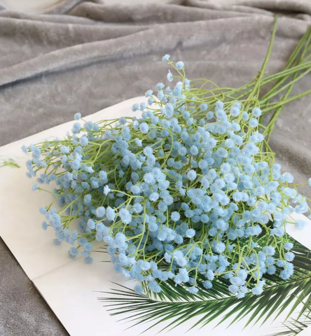 TONE XANH DƯƠNG BLUE