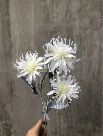 TONE TRẮNG