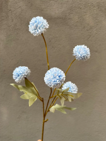 TONE XANH DƯƠNG BLUE