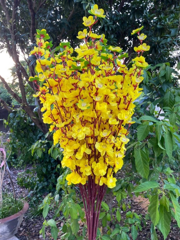 TONE VÀNG