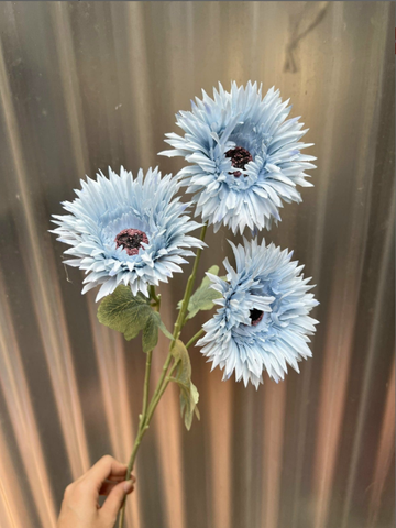 TONE XANH DƯƠNG BLUE
