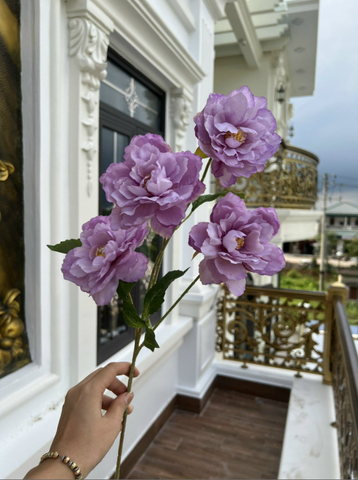 TONE TÍM