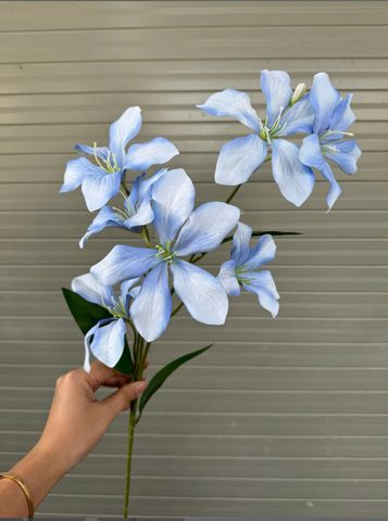 TONE XANH DƯƠNG BLUE