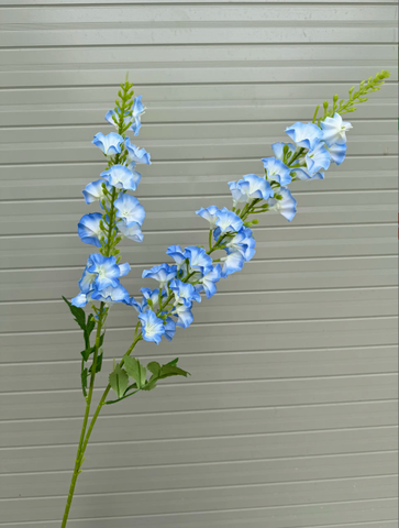 TONE XANH DƯƠNG BLUE