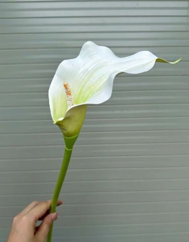 TONE TRẮNG