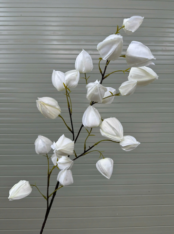 TONE TRẮNG