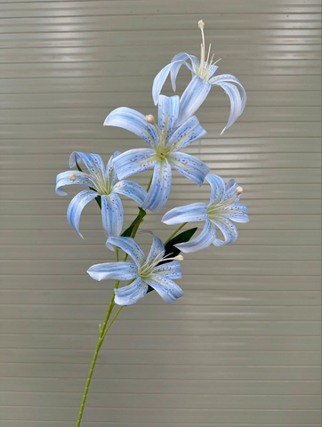 TONE XANH DƯƠNG BLUE