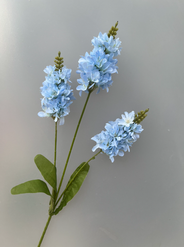 TONE XANH DƯƠNG BLUE