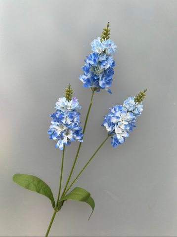 TONE XANH DƯƠNG BLUE