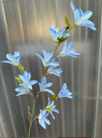 TONE XANH DƯƠNG BLUE