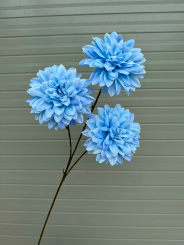 TONE XANH DƯƠNG BLUE