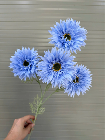 TONE XANH DƯƠNG BLUE