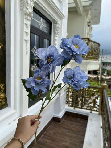 TONE XANH DƯƠNG BLUE