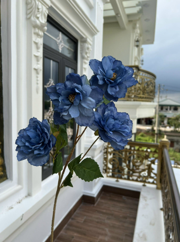 TONE XANH DƯƠNG BLUE